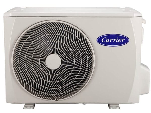 Carrier